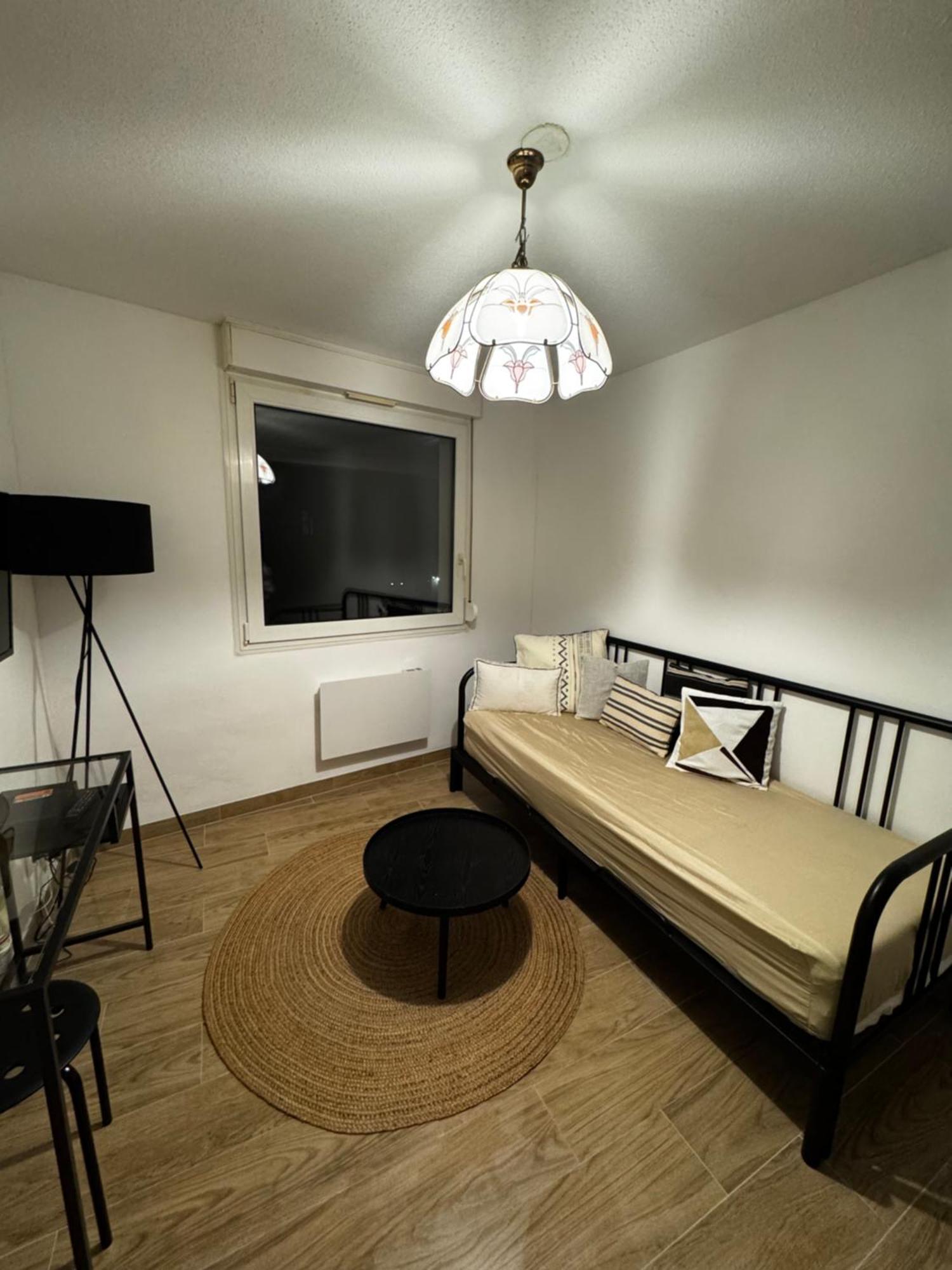 Le Sarsour Appartement Strasbourg Centre ภายนอก รูปภาพ